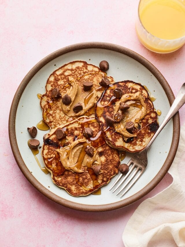 Protein Pancakes Eating Bird Food