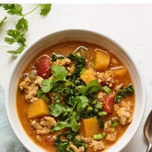 Bowl of butternut squash turkey chili, garnished with cilantro.