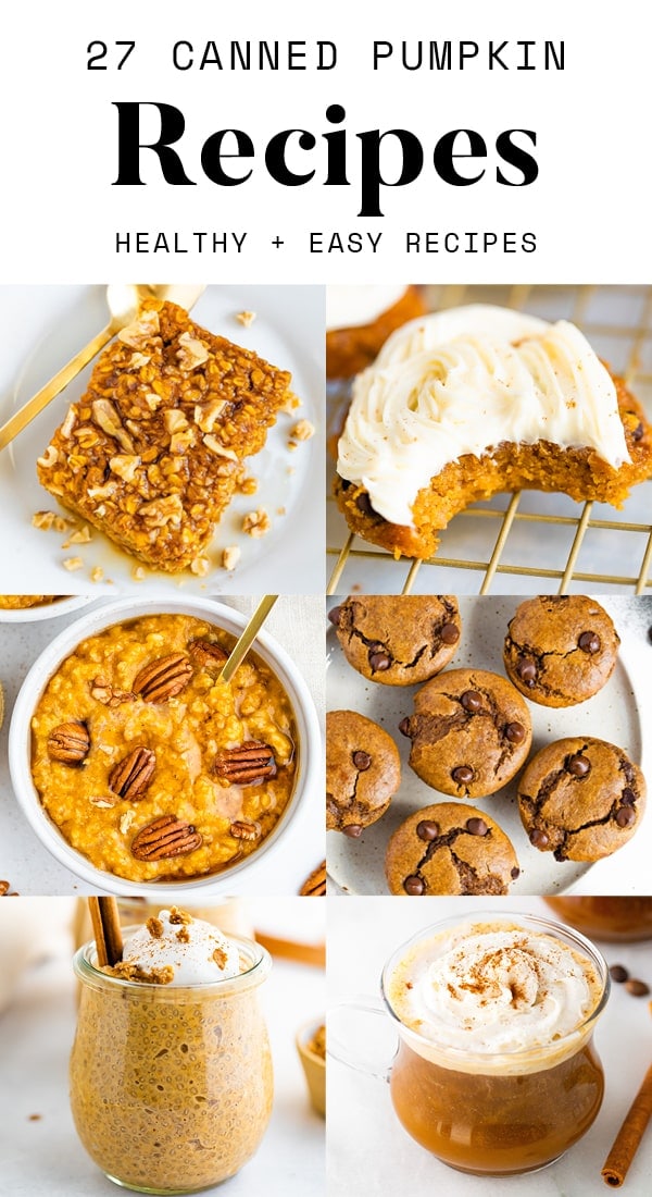 26 Amazing Canned Pumpkin Recipes Eating Bird Food