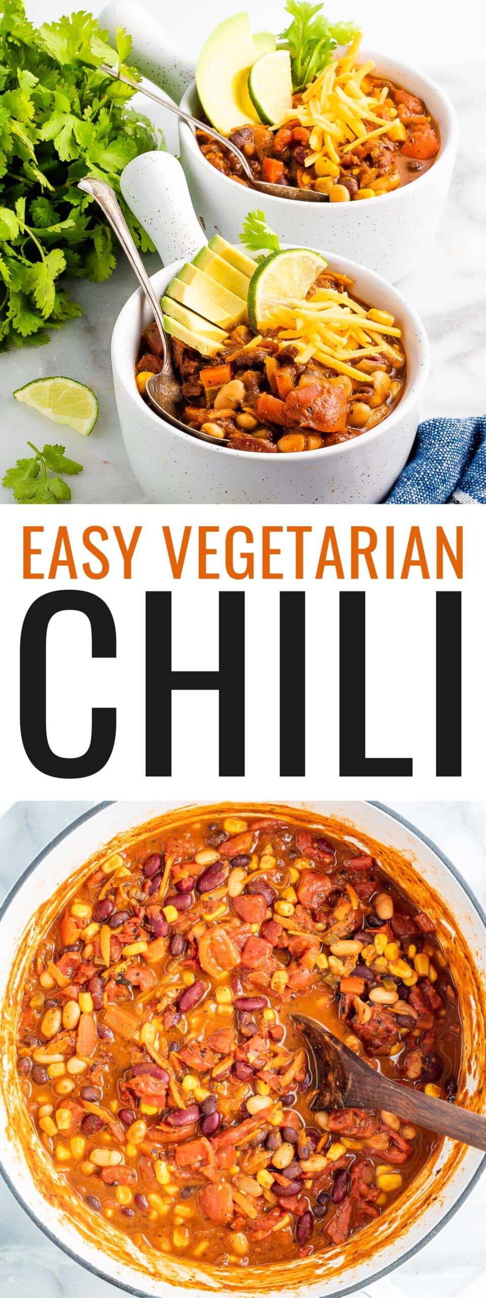 Easy Vegetarian Chili Eating Bird Food