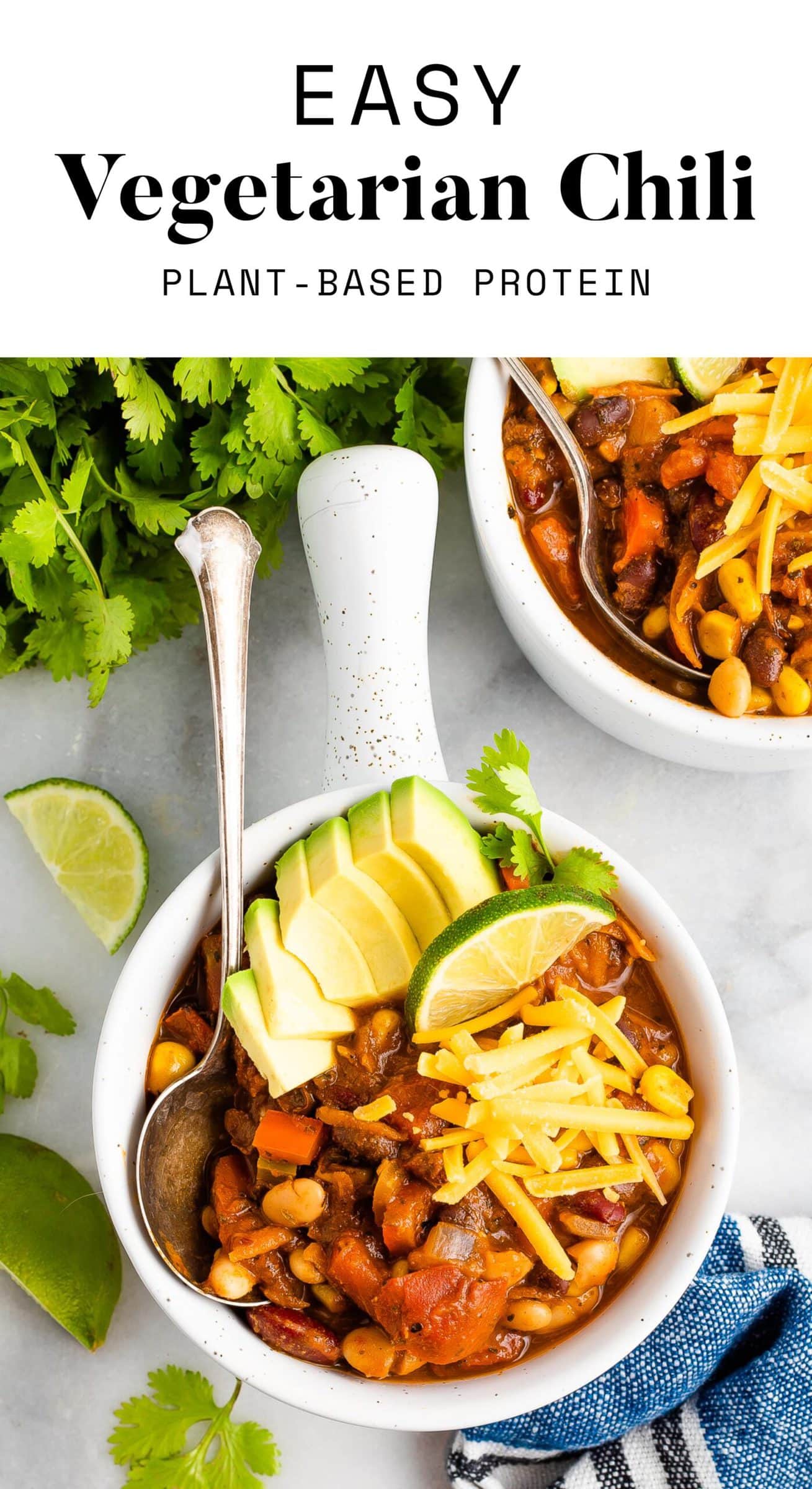 Easy Vegetarian Chili Eating Bird Food