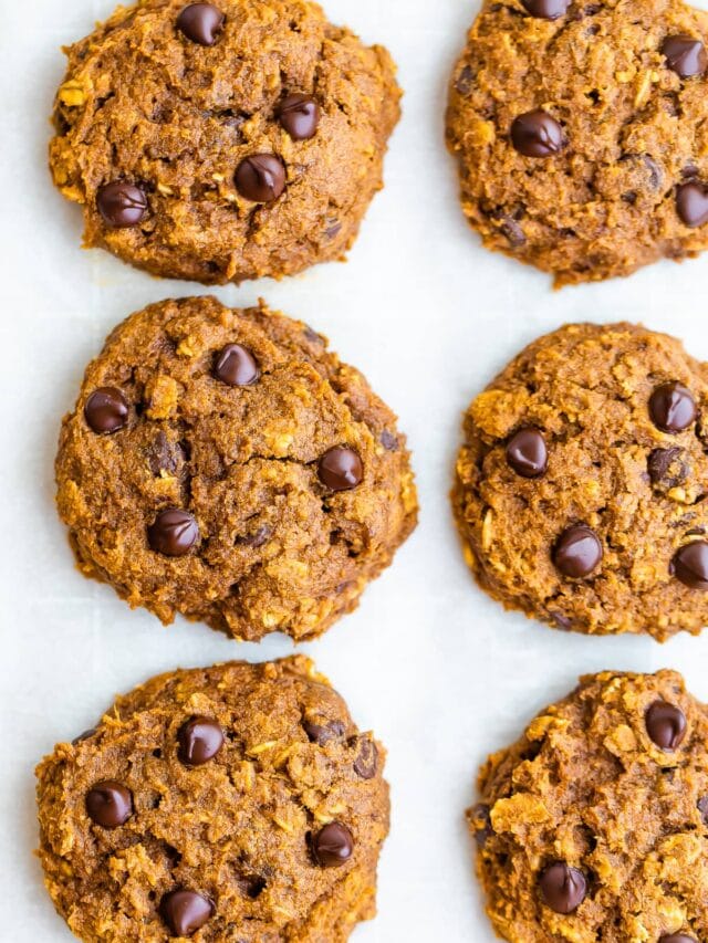 Oatmeal Pumpkin Cookies Eating Bird Food