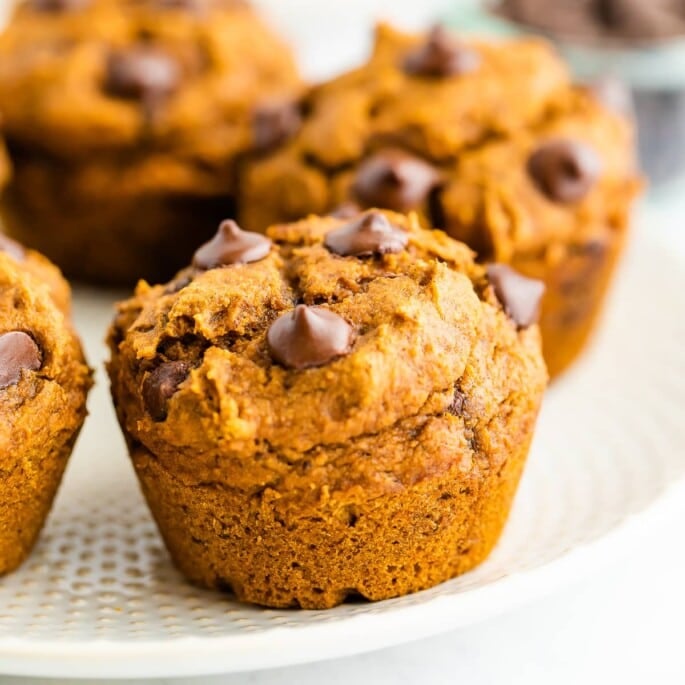 A close up of a vegan pumpkin muffin topped with chocolate chips.