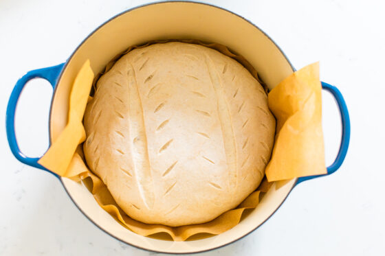 Sourdough bread dough inside of a dutch oven. There is a layer of parchment paper between the dough and the dutch oven, sticking out over the edge of the dutch oven.