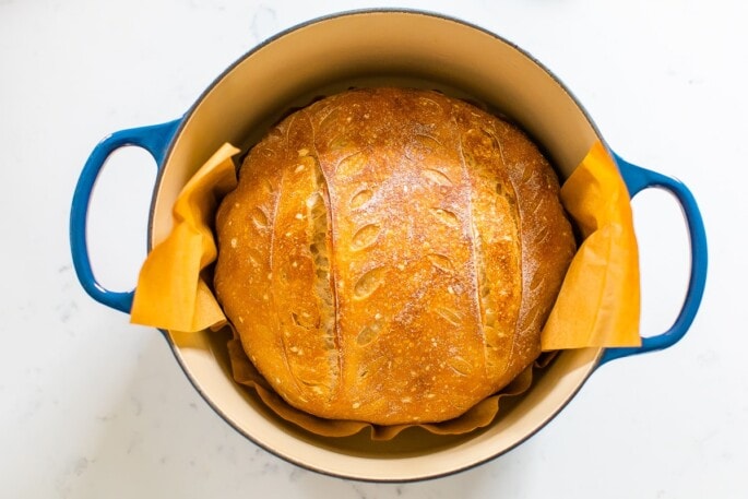 Freshly baked sourdough bread in a dutch oven. Parchment paper is in between the bread loaf and the dutch oven, sticking out over the edge of the dutch oven.