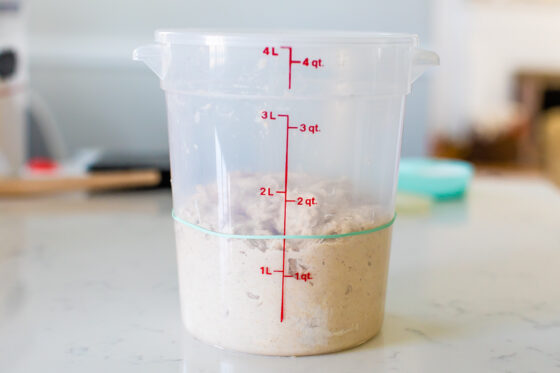 A sideview of a cambro with sourdough bread dough inside. A rubber band is wrapped around the outside of the cambro to show where the dough started.