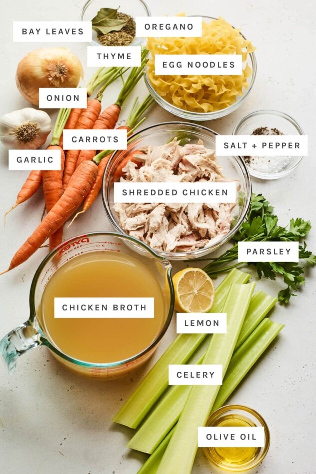 Ingredients measured out to make chicken noodle soup: bay leaves, oregano, thyme, egg noodles, salt, pepper, onion, carrots, garlic, shredded chicken, parsley, chicken broth, lemon, celery and olive oil.