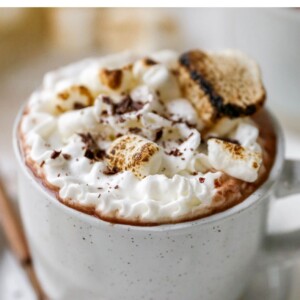Mug of hot chocolate topped with whipped cream, toasted marshmallows and shaved dark chocolate.