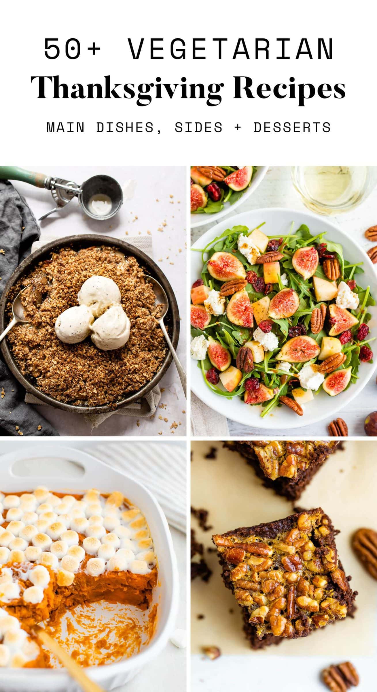 52+ Vegetarian Thanksgiving Recipes - Eating Bird Food