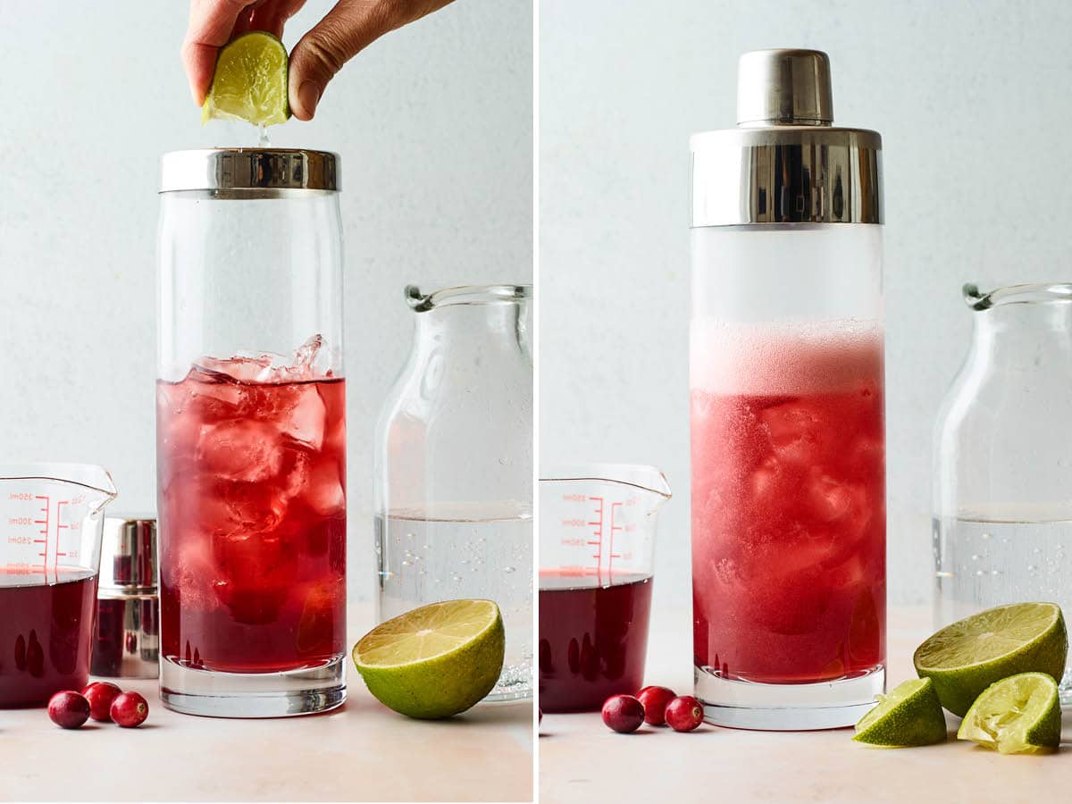 Vodka Cranberry with Lime Eating Bird Food
