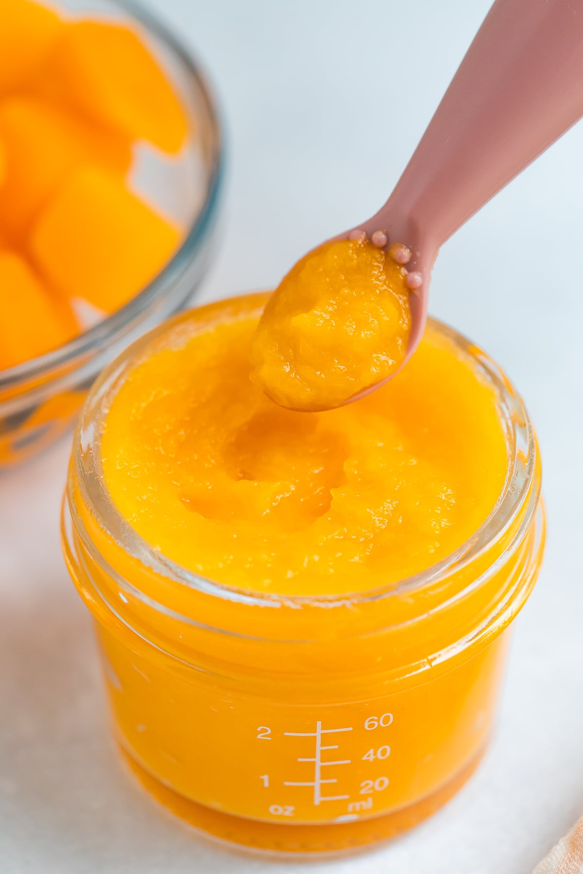 Butternut Squash Puree - Eating Bird Food