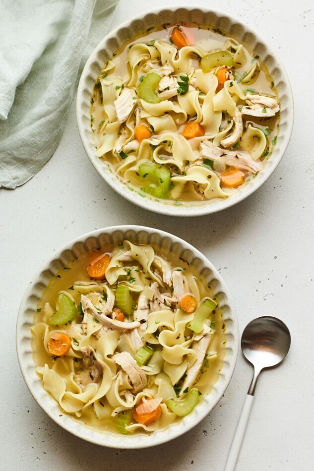 Chicken Noodle Soup - Eating Bird Food