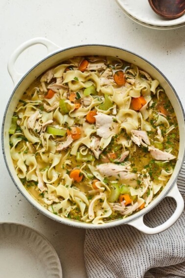 cropped-chicken-noodle-soup-hero.jpg