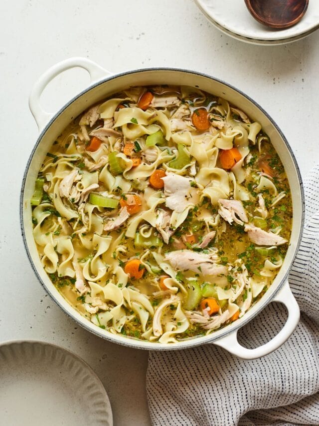 Chicken Noodle Soup Eating Bird Food