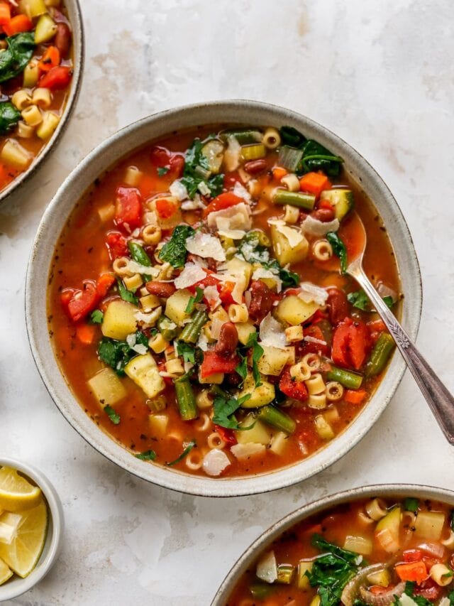 Classic Minestrone Soup Eating Bird Food