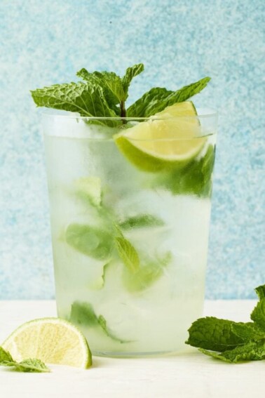 cropped-mojito-hero.jpg