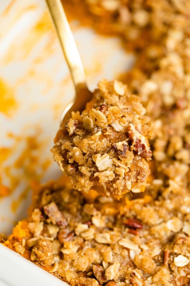 Dessert Baked Sweet Potato Eating Bird Food