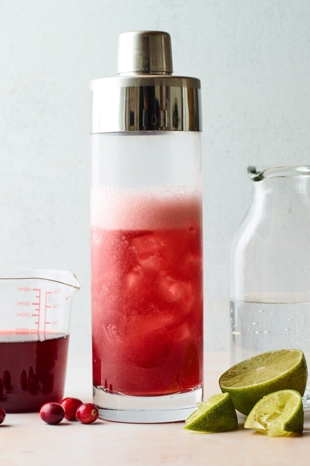 A clear shaker glass with cranberry and vodka after being shaken.