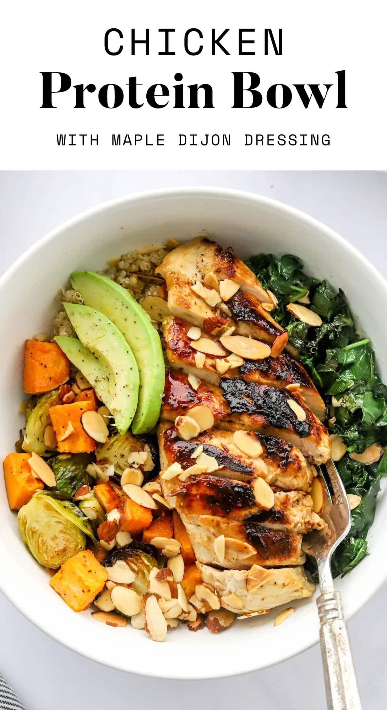 Chicken Protein Bowl Eating Bird Food