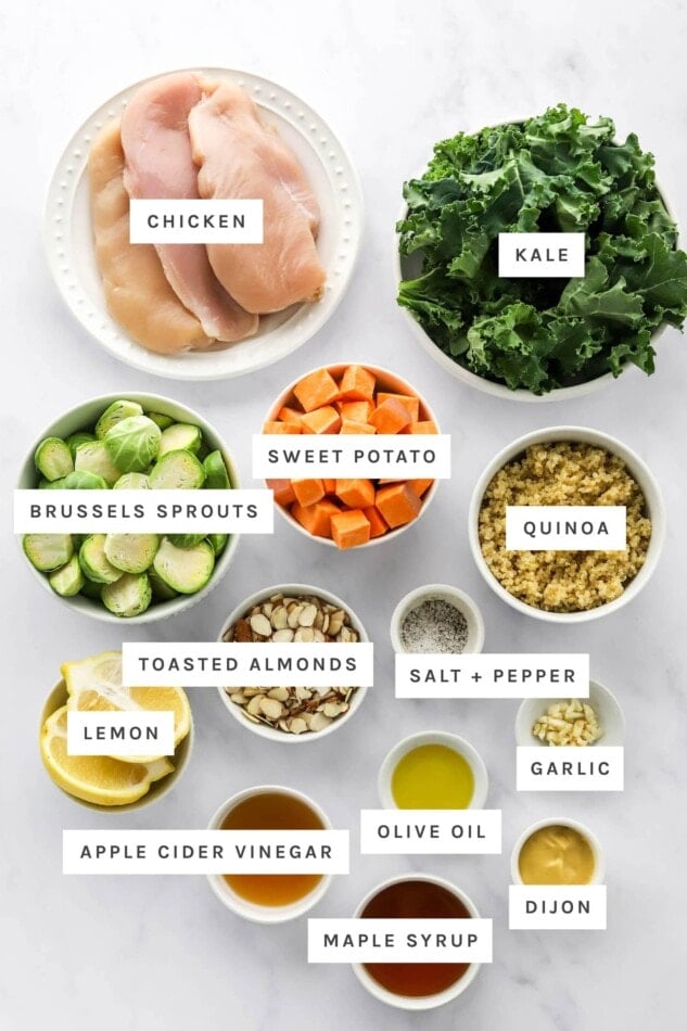 Ingredients measured out to make a chicken protein bowl: chicken, kale, sweet potato, brussels sprouts, quinoa, toasted almonds, salt, pepper, lemon, garlic, olive oil, dijon, apple cider vinegar and maple syrup.