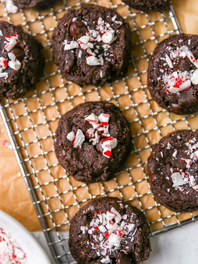 Chocolate Peppermint Cookies Eating Bird Food