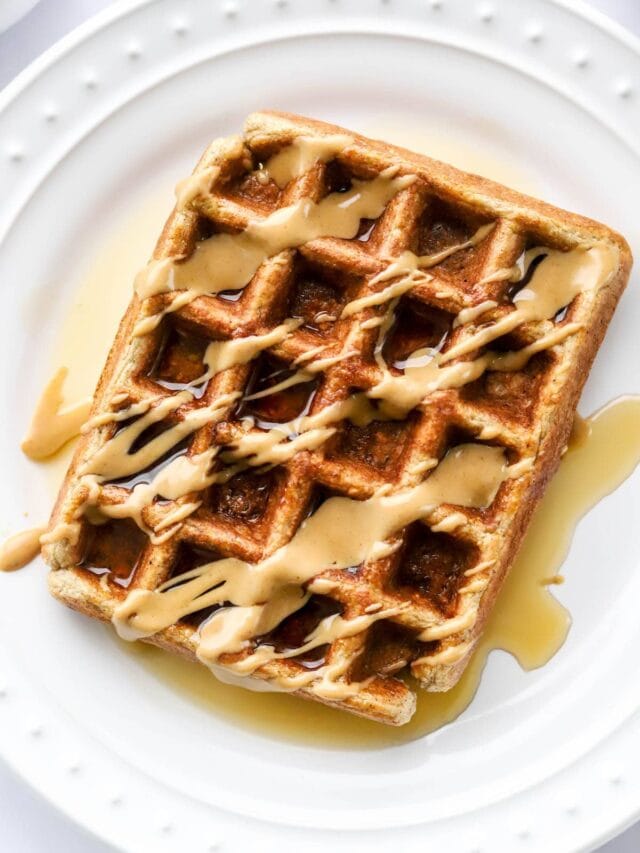 Protein Waffles Eating Bird Food