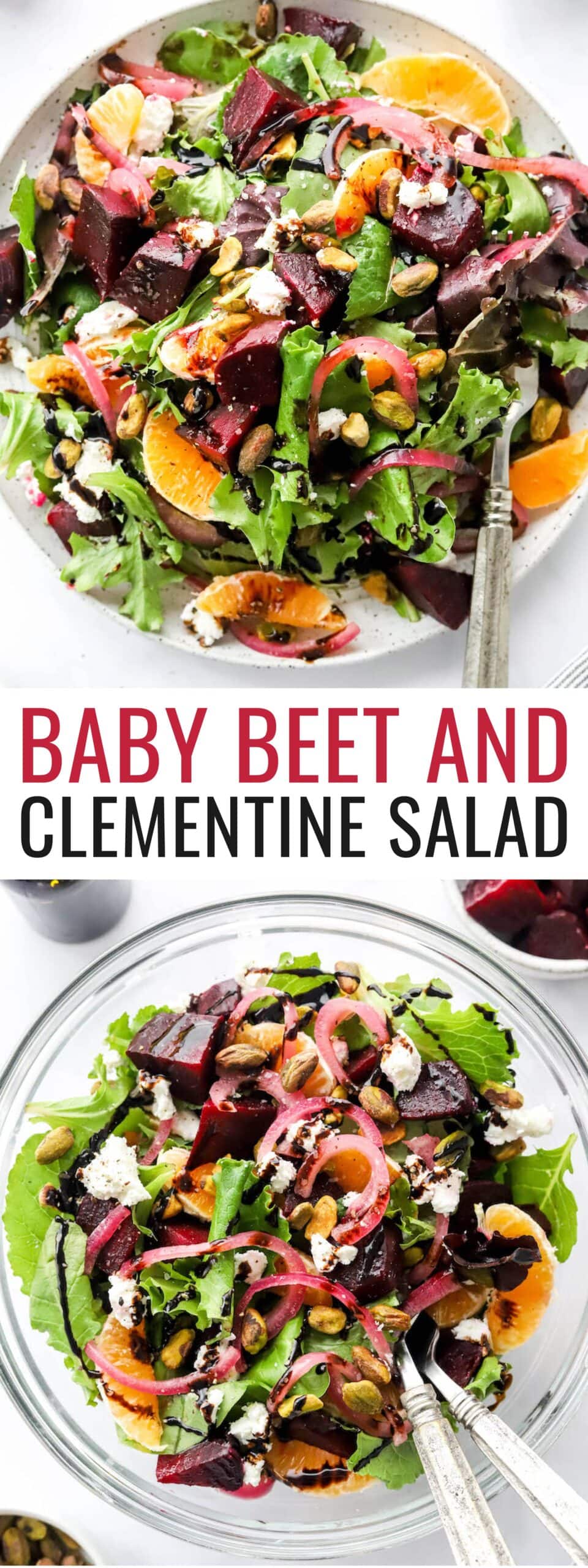 Baby Beet and Clementine Salad Eating Bird Food