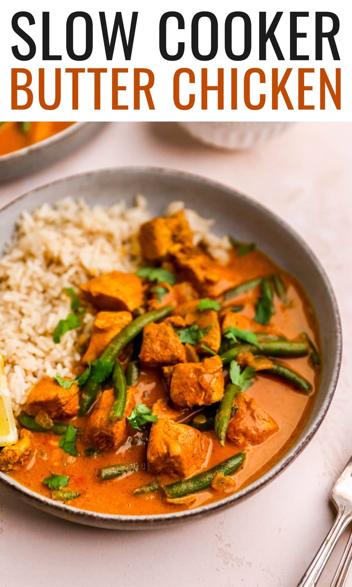 Slow Cooker Butter Chicken (Dairy Free) Eating Bird Food