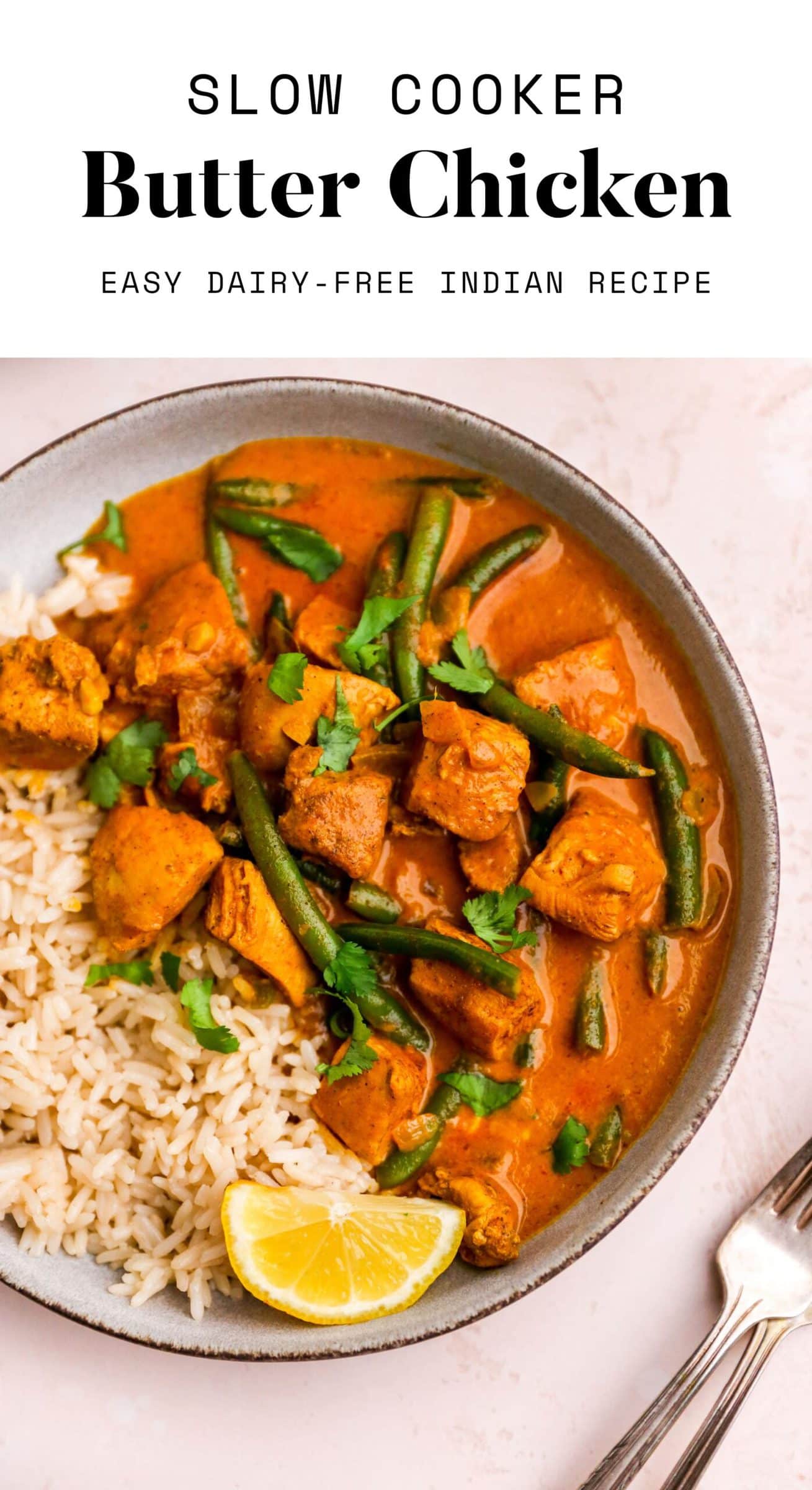 Slow Cooker Butter Chicken (Dairy Free) Eating Bird Food