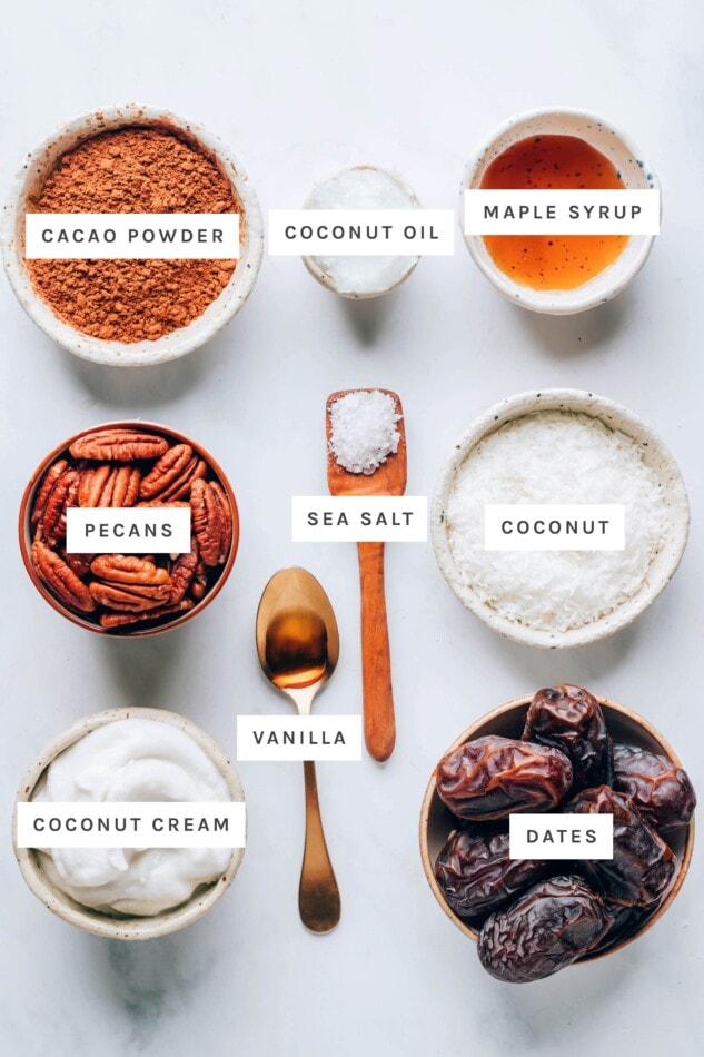 Ingredients measured out to make a vegan chocolate tart: cacao powder, coconut oil, maple syrup, pecans, sea salt, coconut, vanilla, coconut cream and dates.