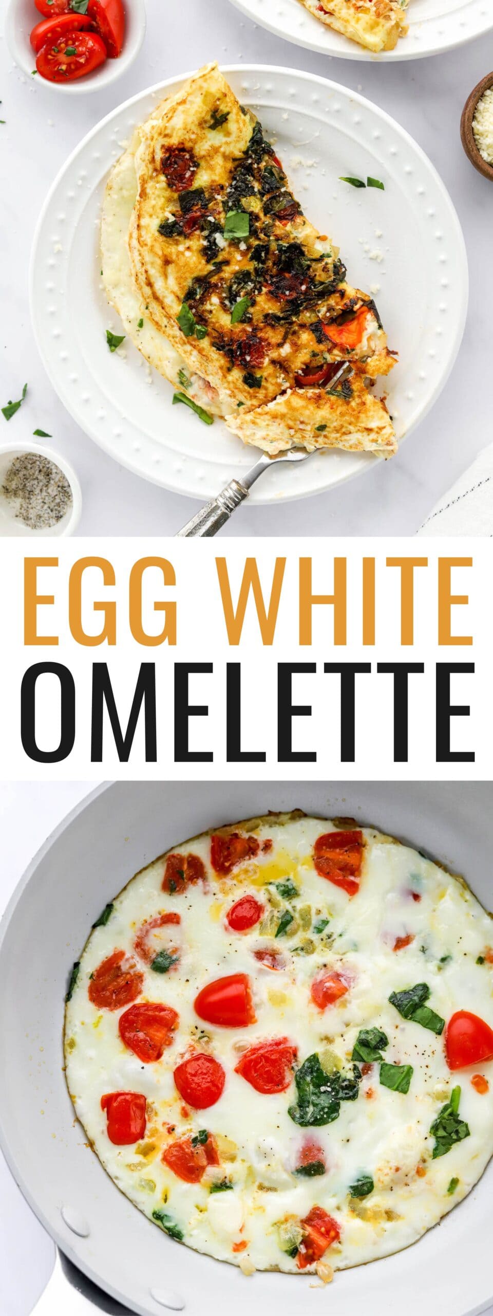 Egg White Omelette Eating Bird Food