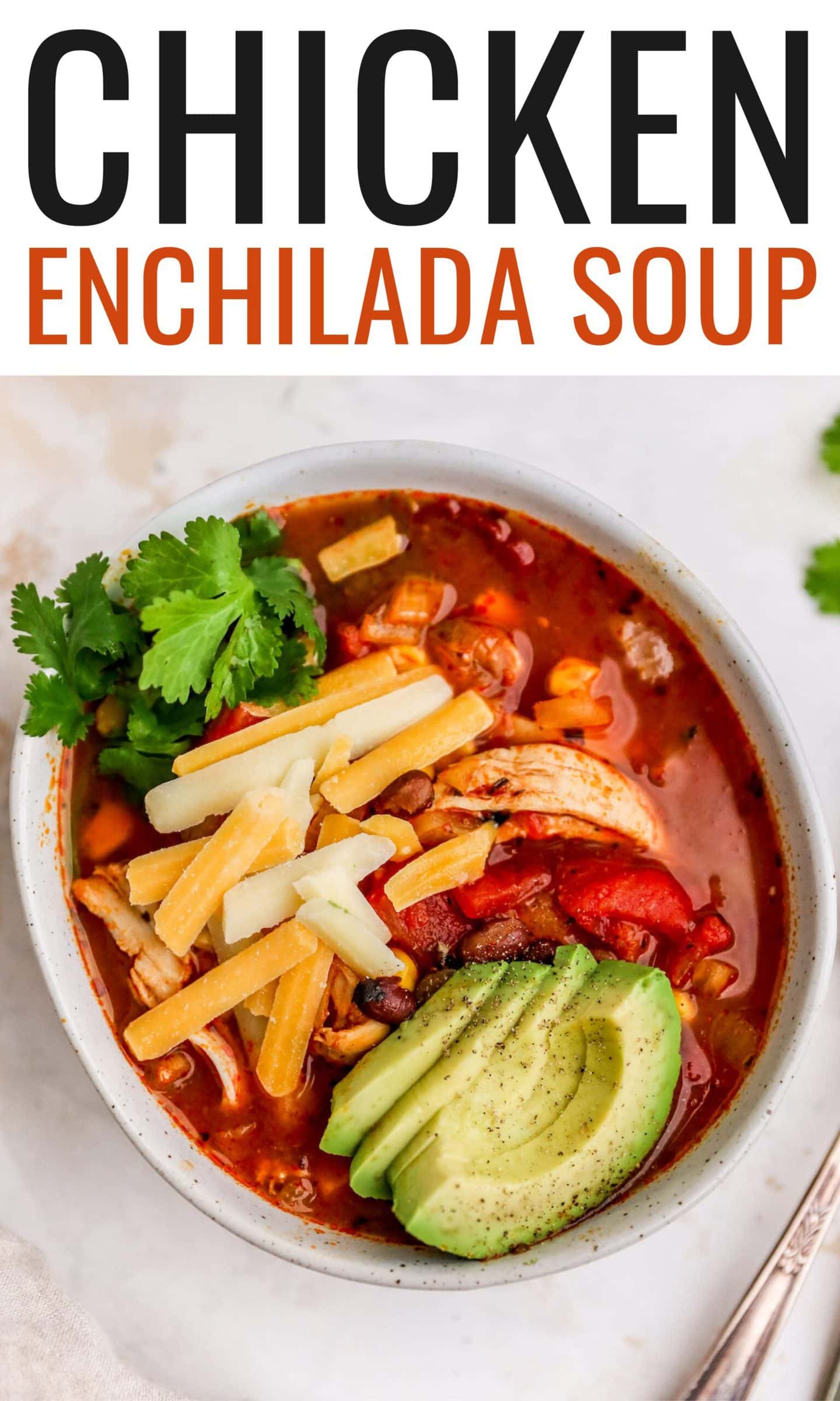 Chicken Enchilada Soup Eating Bird Food