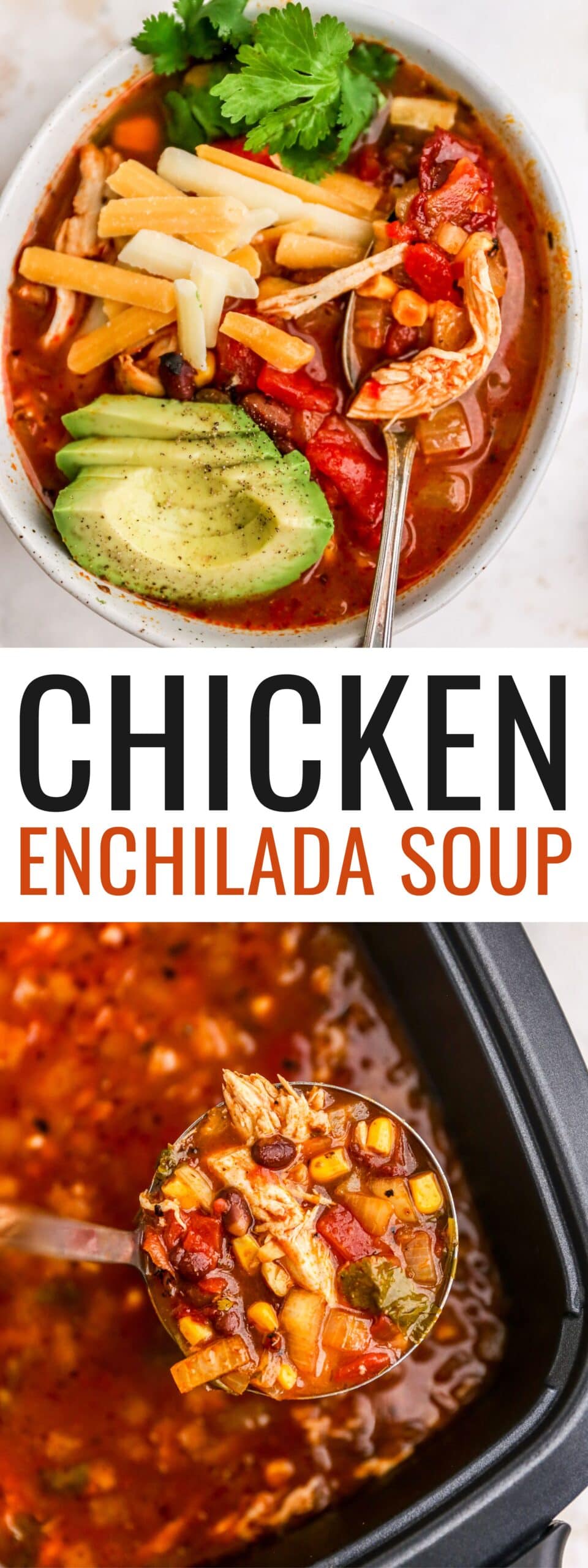 Chicken Enchilada Soup - Eating Bird Food