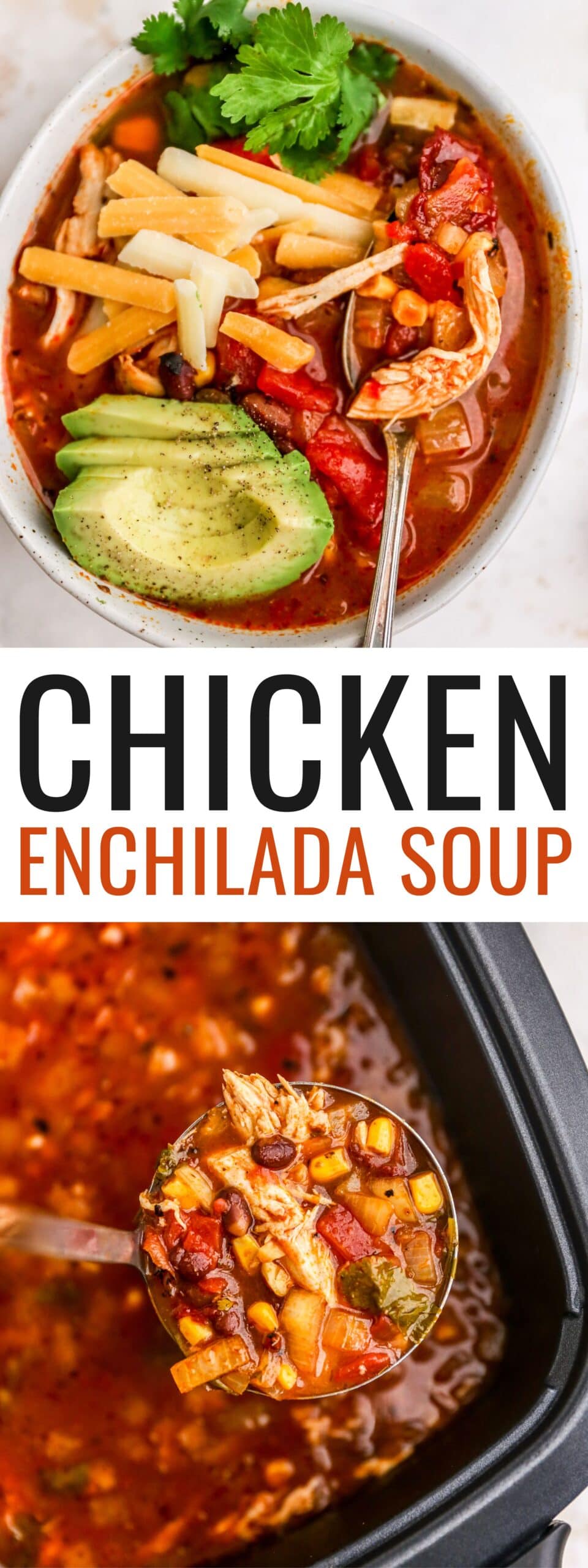 Chicken Enchilada Soup Eating Bird Food