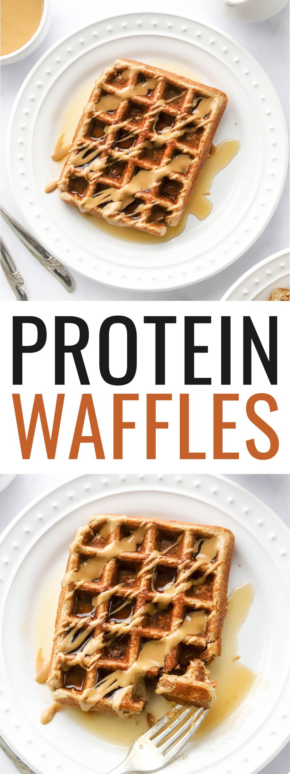 Protein Waffles Eating Bird Food