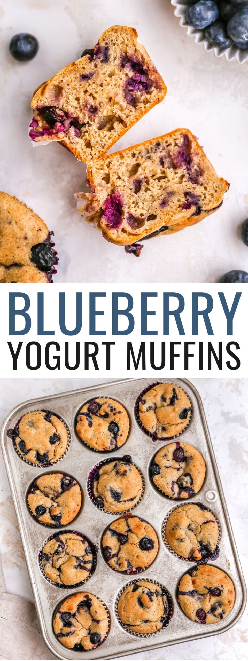 Blueberry Yogurt Muffins Eating Bird Food