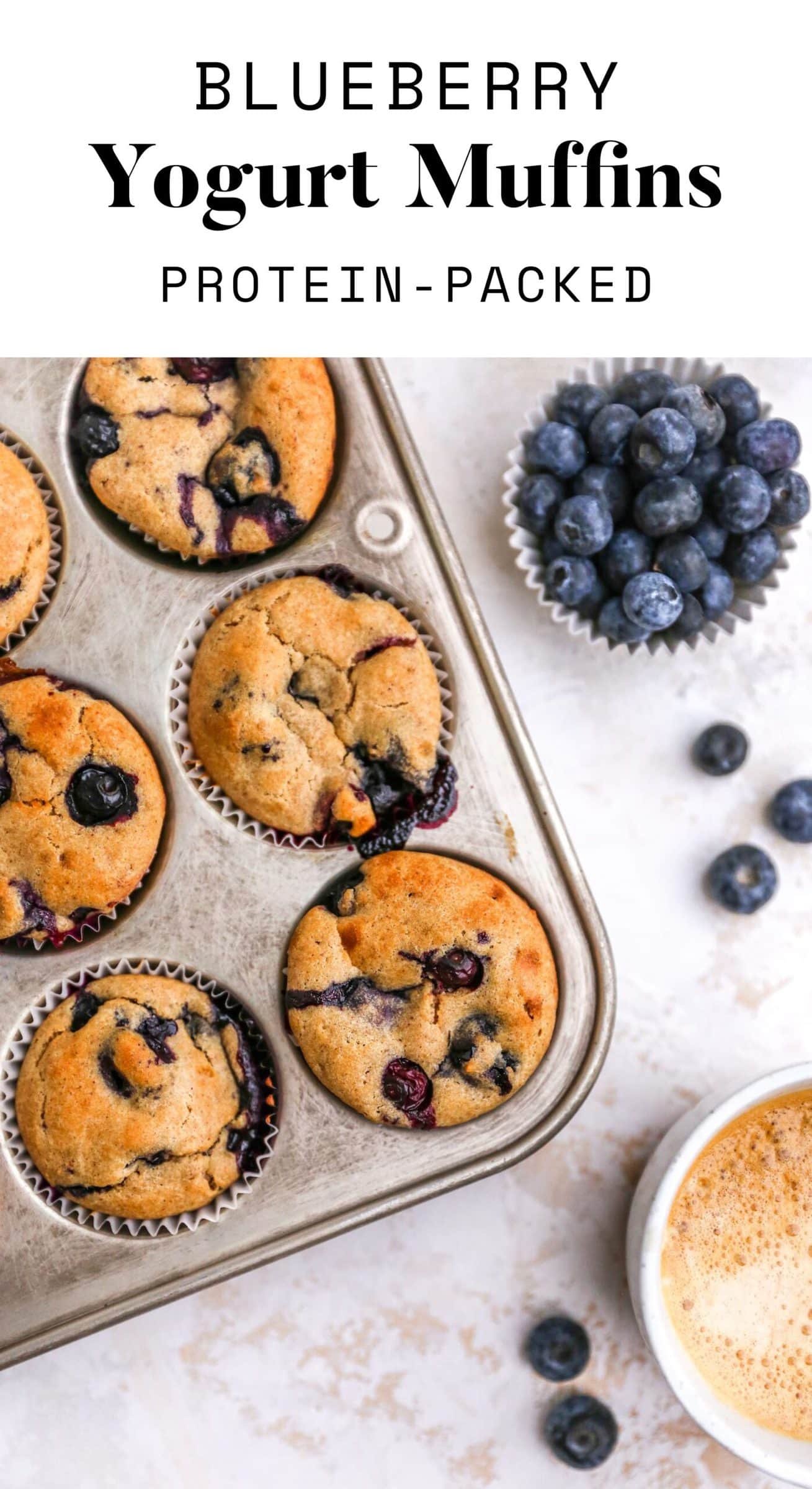 Blueberry Yogurt Muffins Eating Bird Food