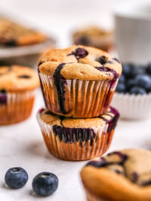 Blueberry Yogurt Muffins Eating Bird Food