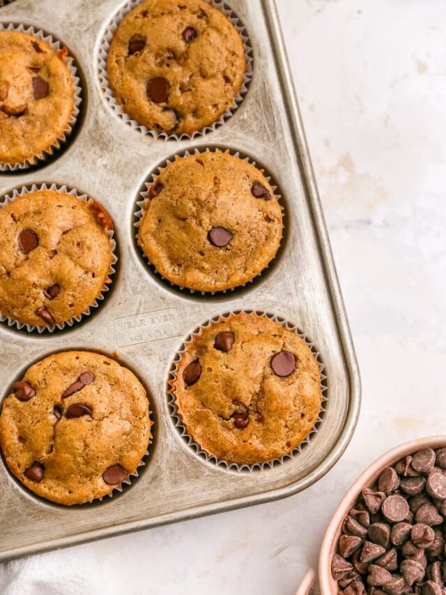 Healthy Chocolate Chip Muffins Eating Bird Food