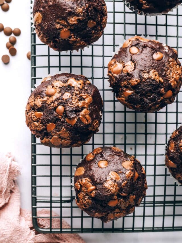 Healthy Chocolate Muffins Eating Bird Food