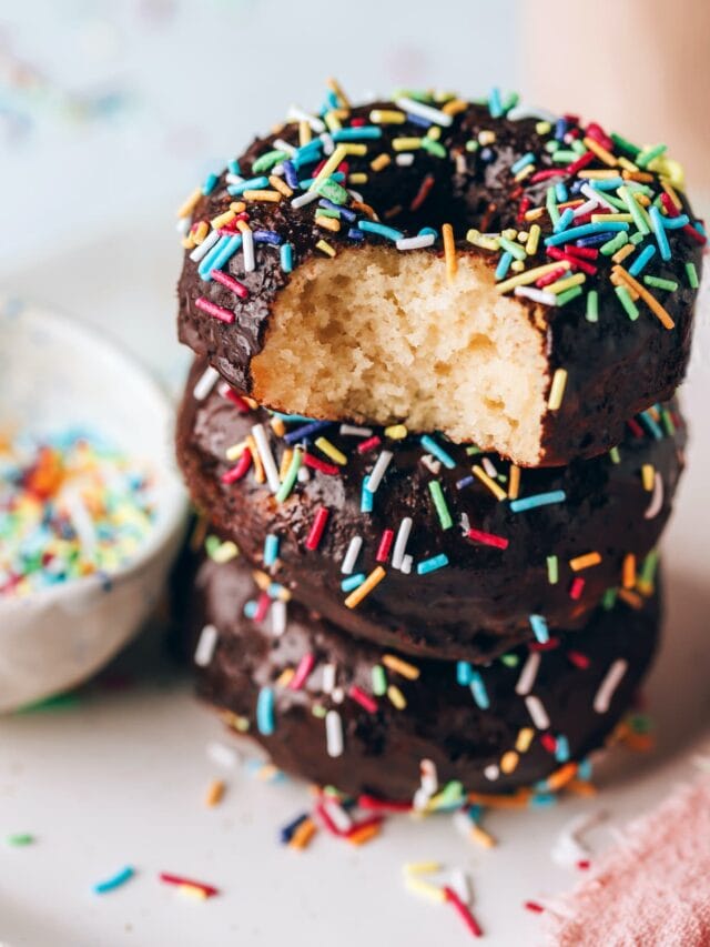 Protein Donuts Eating Bird Food