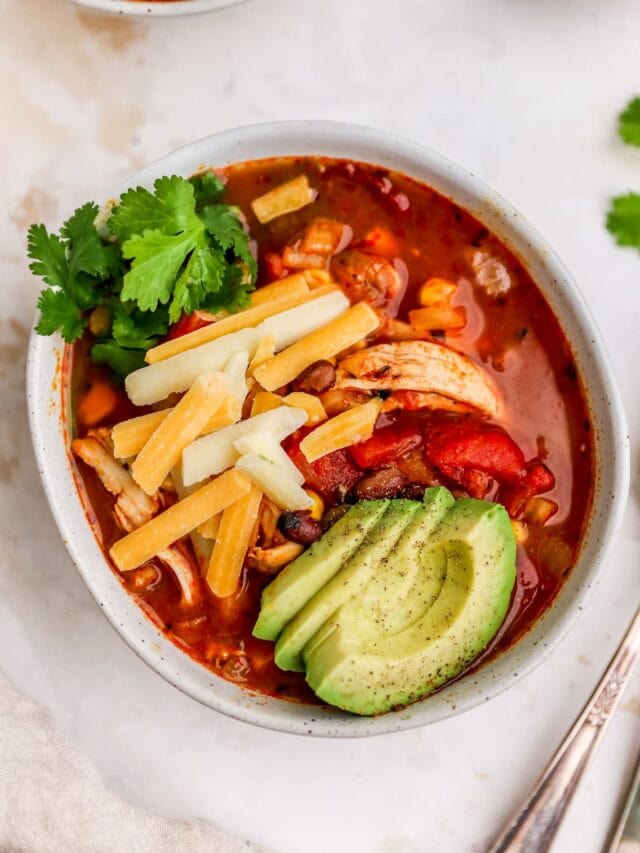 Chicken Enchilada Soup Eating Bird Food