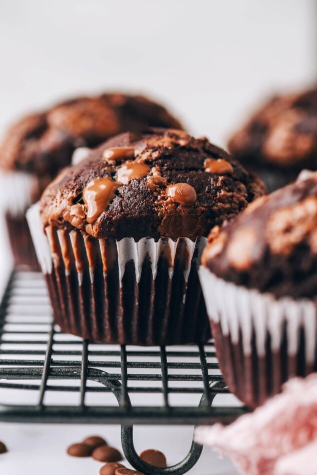 Close up of a chocolate chip muffin on a wire rack.