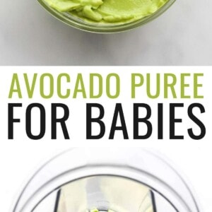 https://www.eatingbirdfood.com/wp-content/uploads/2022/02/Avocado-Puree-2-min-300x300.jpg