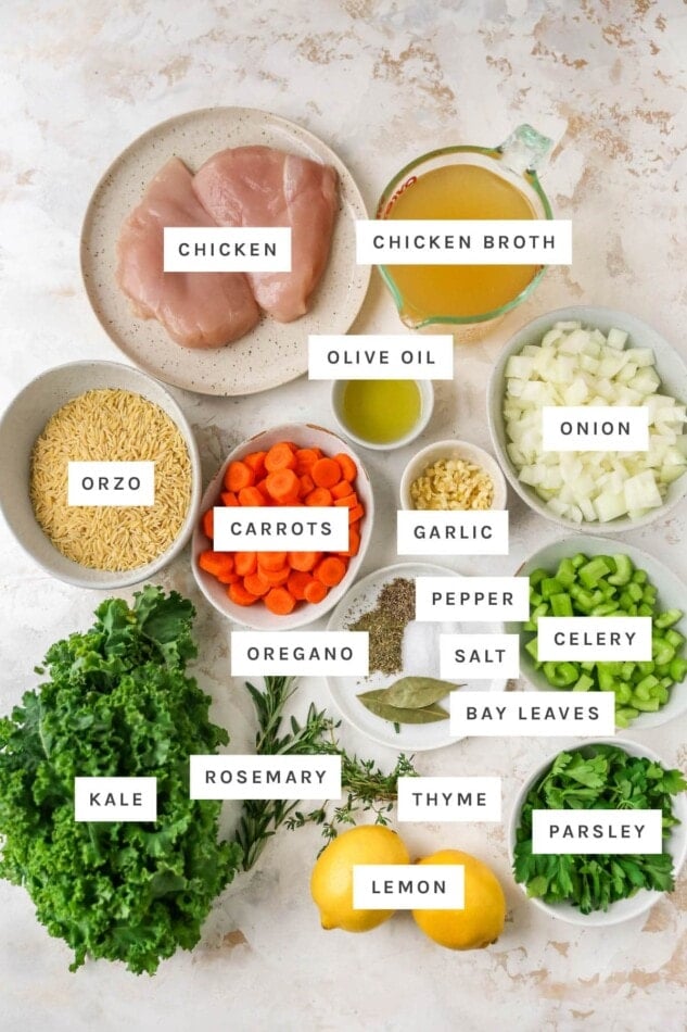 Ingredients measured out to make lemon chicken orzo soup: chicken, chicken broth, olive oil, onions, orzo, carrots, garlic, salt, pepper, celery, oregano, bay leaves, rosemary, thyme, kale, lemon and parsley.