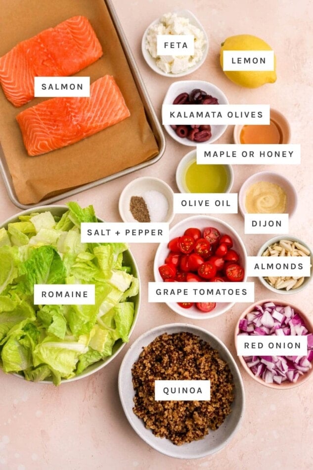 Ingredients measured out to make a Mediterranean salmon salad: salmon, feta, lemon, kalamata olives, maple or honey, olive oil, dijon, salt, pepper, grape tomatoes, almonds, romaine, red onion and quinoa.