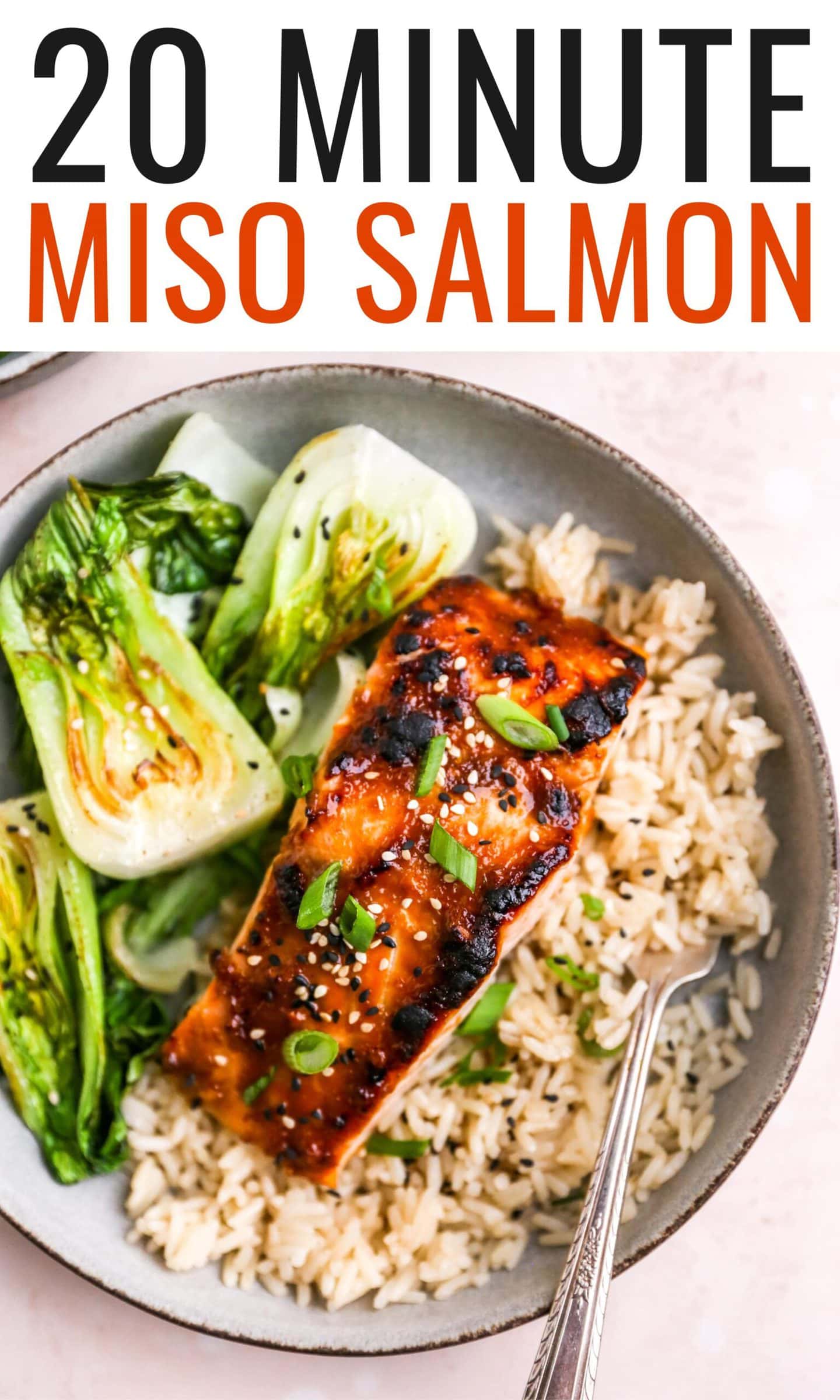 Miso Salmon Eating Bird Food