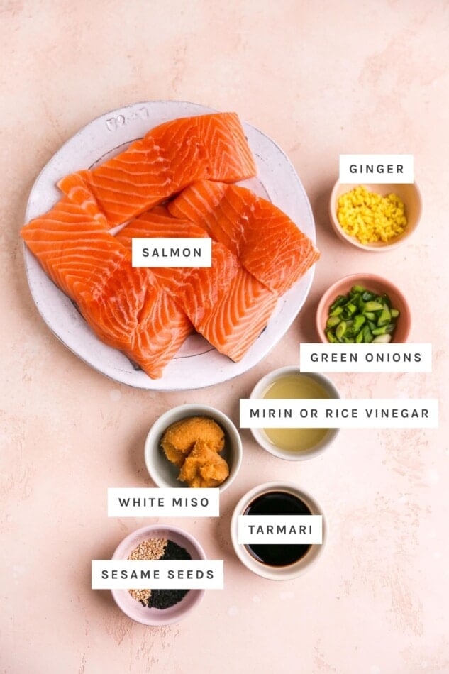 Ingredients measured out to make miso salmon: salmon, ginger, green onions, mirin/rice vinegar, white miso, tamari and sesame seeds.