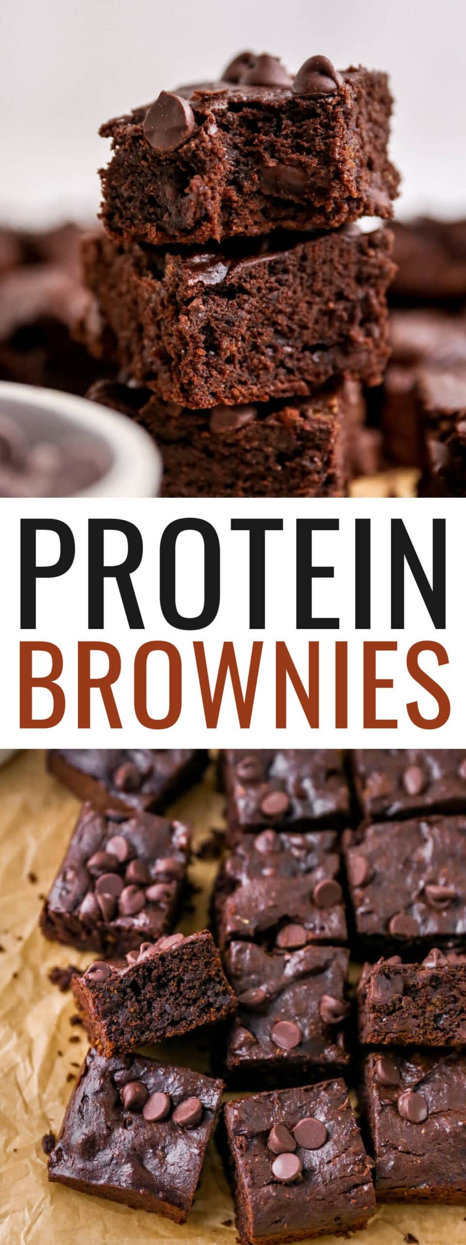 Healthy Protein Brownies Eating Bird Food