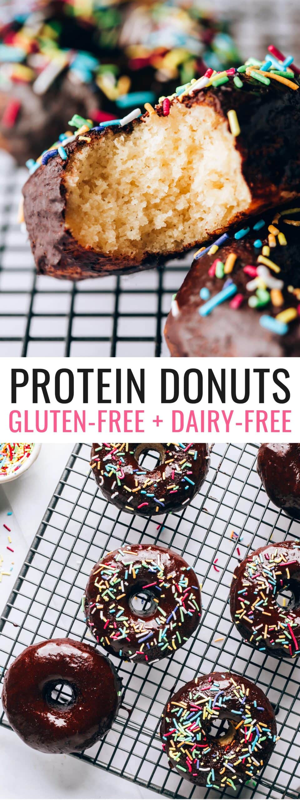 Protein Donuts Eating Bird Food